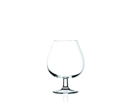 Набор коньячных бокалов MasterPro Barware oenology, 670 мл, 2 шт (BGEU-2883)